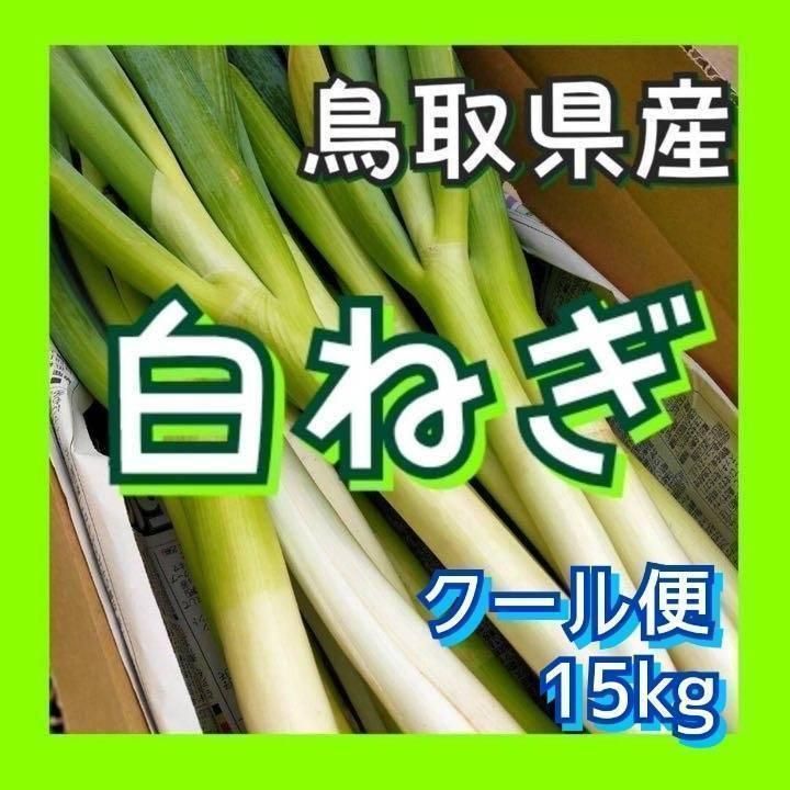 【クール便】白ネギL 15kg程度  白ねぎ 長ねぎ