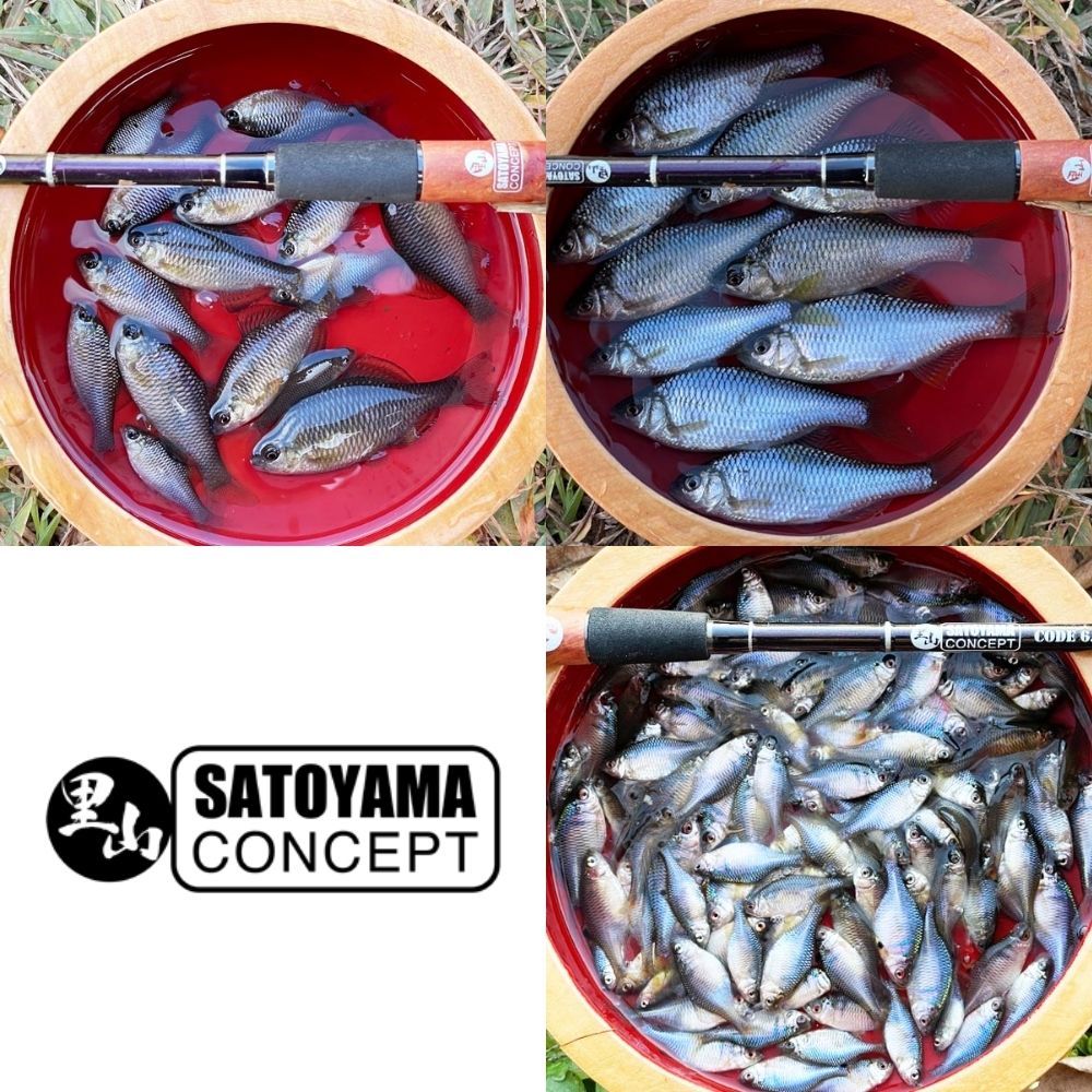  サトヤマ タナゴ竿 SC-160 P SATOYAMA Tanago Rod その他淡水ロッド ロッド