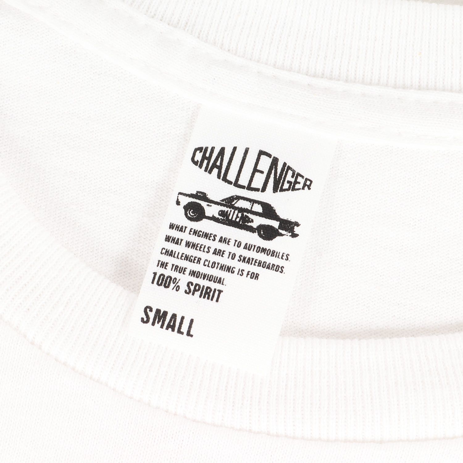 美品 CHALLENGER チャレンジャー Tシャツ サイズ:S 23SS BANDANALYZE 