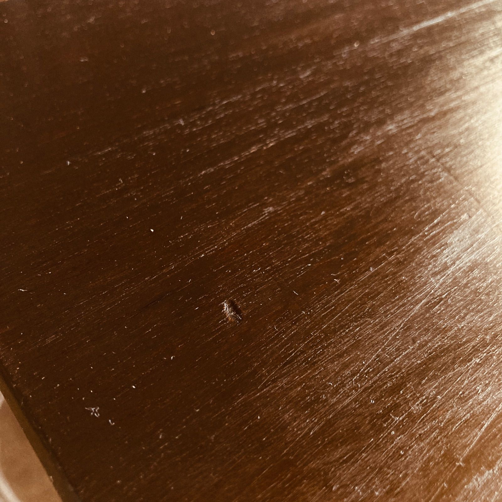 型板ガラス入り