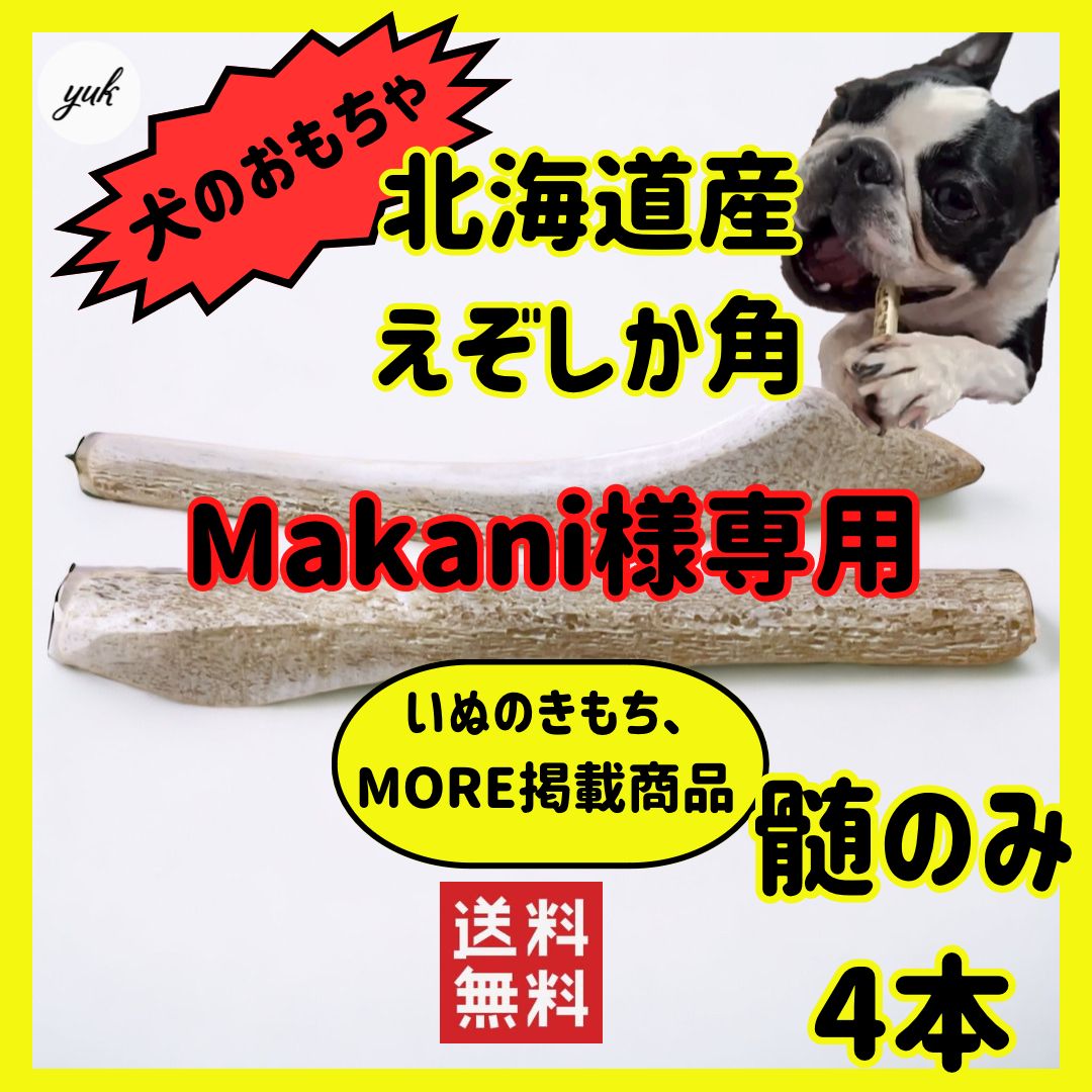 Makani様専用【おまとめ100円引き】🐶 髄のみ✓4本セット🐕歯が心配な