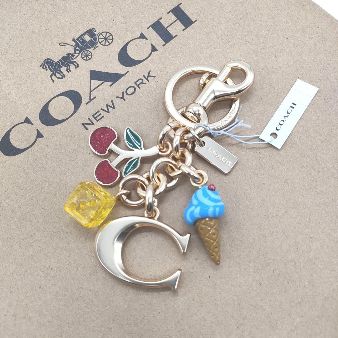 COACH 日本未発売 シグネチャー ミックス キーホルダー バッグチャーム CA052