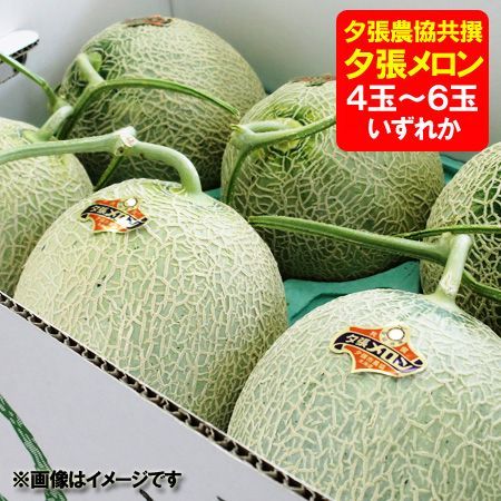 夕張メロン 送料無料 夕張メロン 訳あり 夕張 メロン わけあり 夕張メロン 8kg 優品 4玉～6玉入 1箱 フルーツ メロン 果物 くだもの