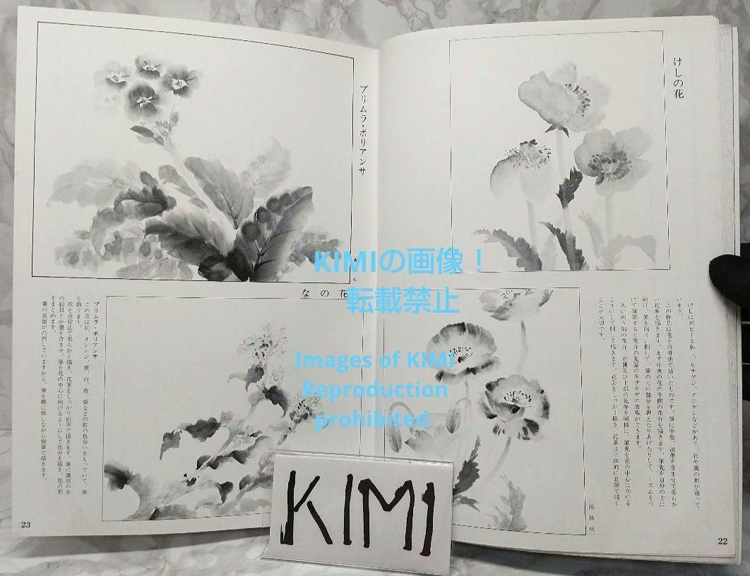Flower and Bird Paintings Large size book 2009/8/1 Yamada Tamakumo