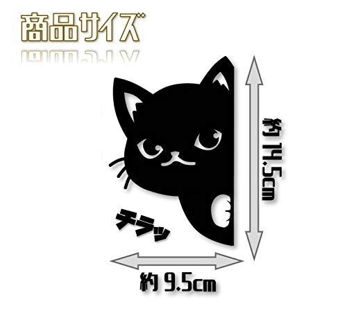 ねこのみ