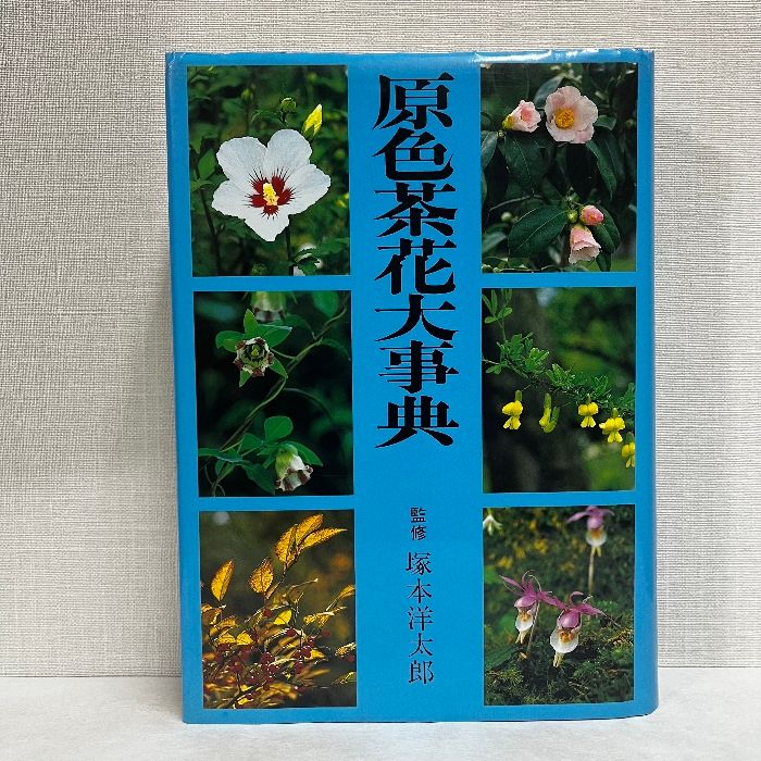 茶花大事典 B 162 茶花大辞典 淡交社・ 1～6月 新版 茶花大事