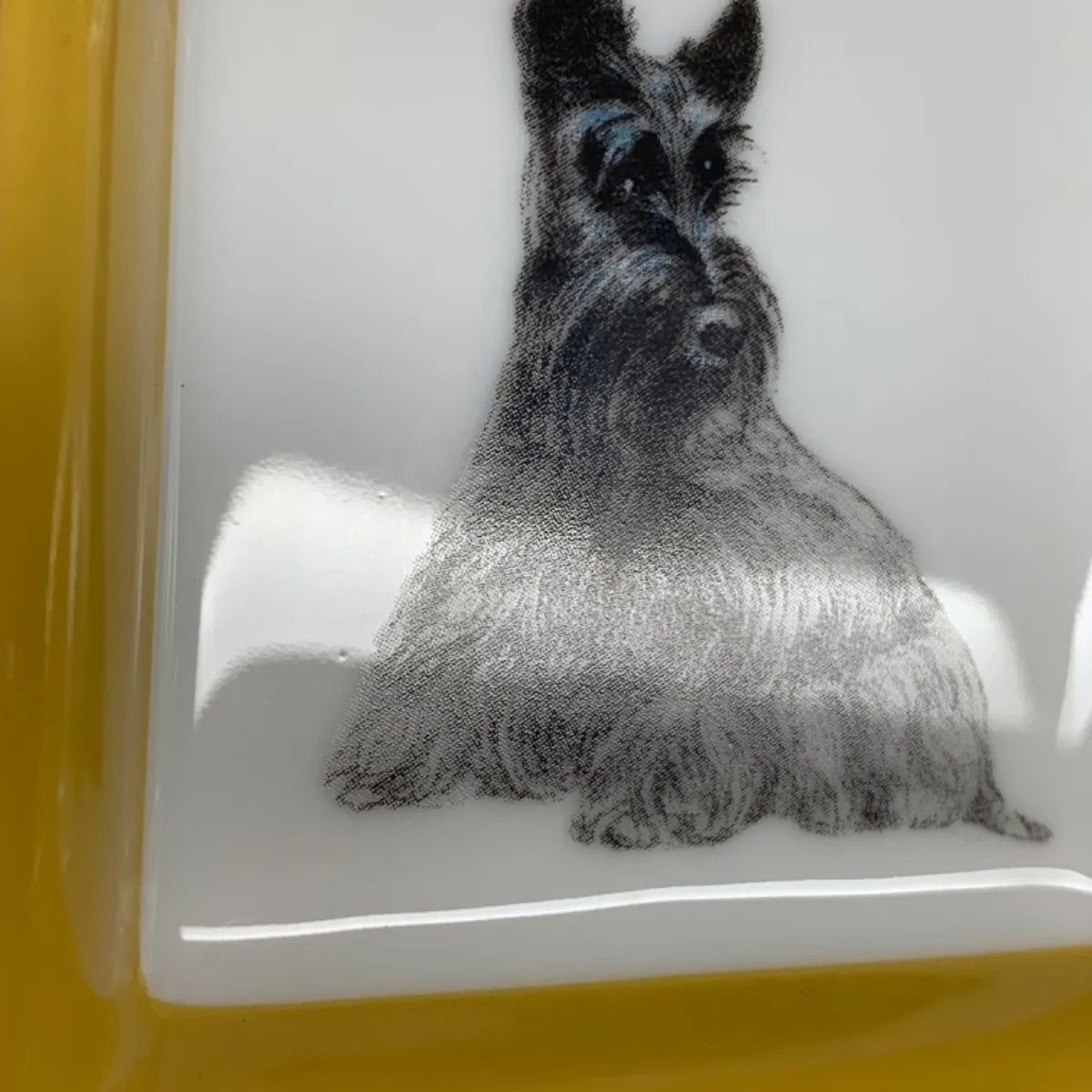 値下げ！HERMES エルメス スコティッシュテリア スクエア プレート