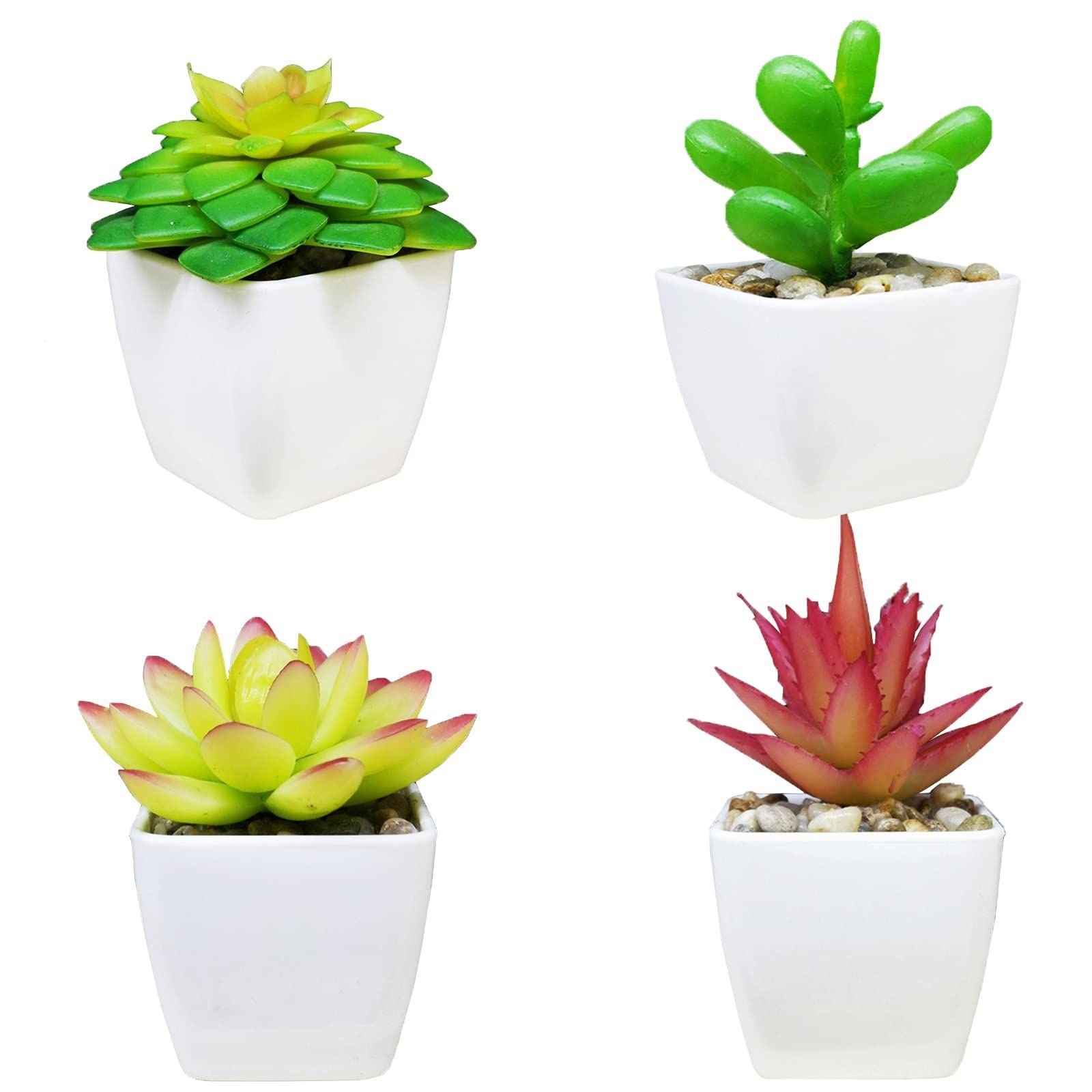 多肉植物 セット 鉢植え*4 多肉植物4センチポット 25個セット | watanabe