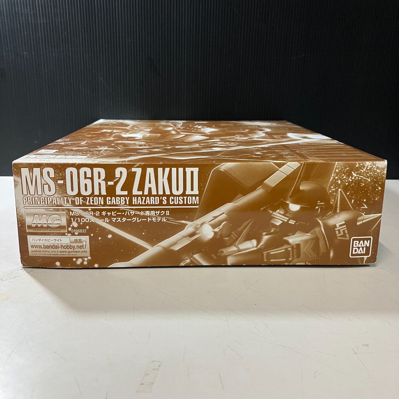  むつ42 100205 MG ギャビー ハザード ザクII MG(マスターグレード) ガンプラ