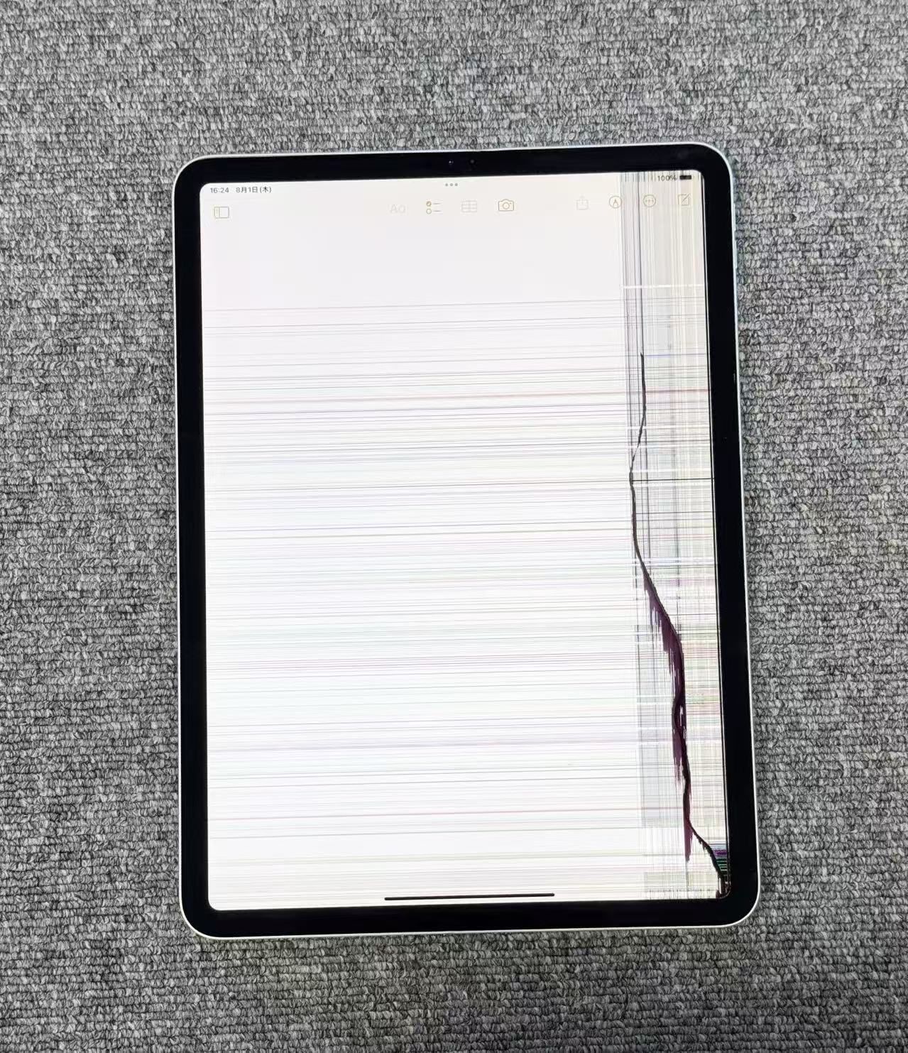 ジャンク iPad Pro 11