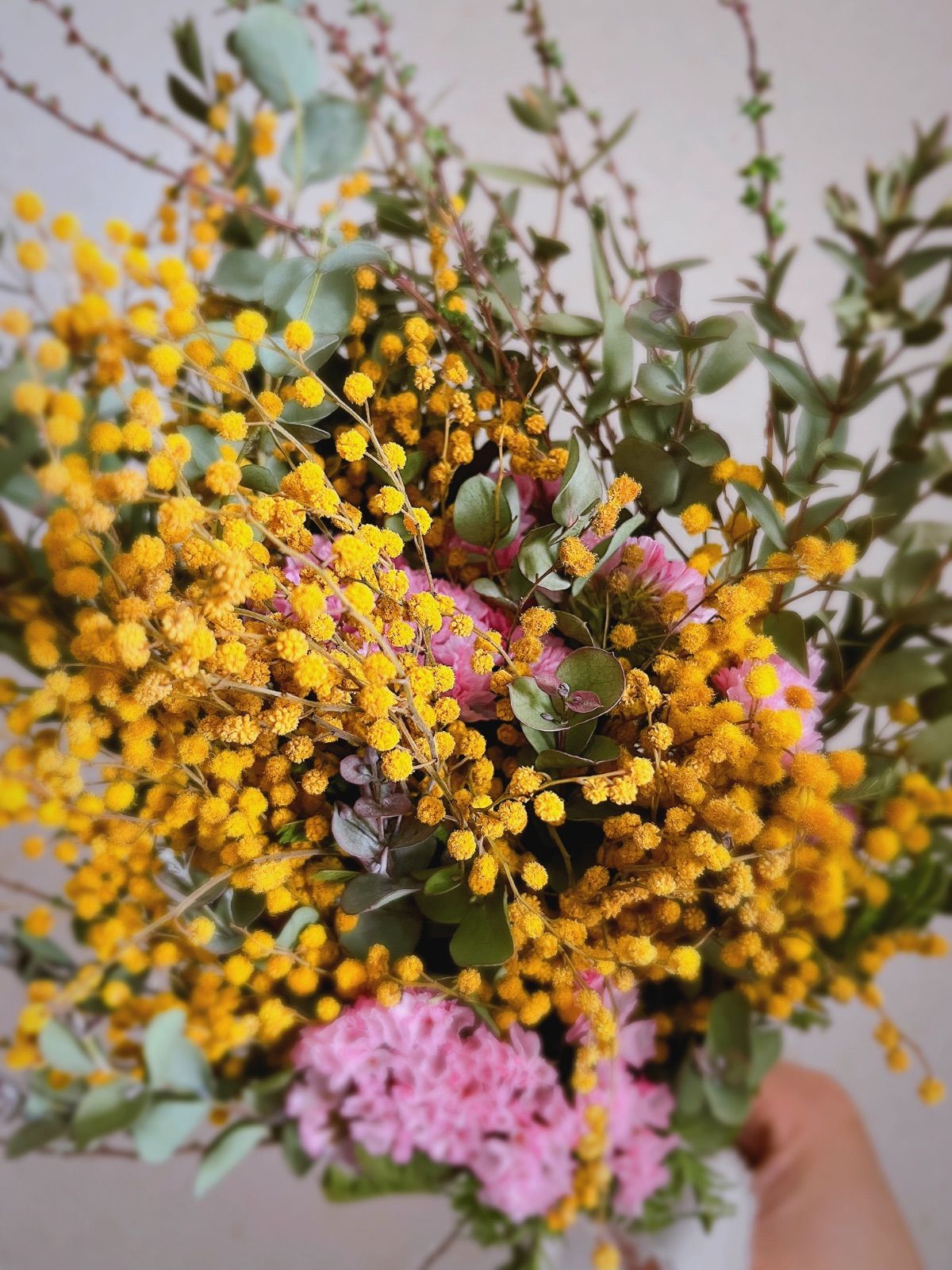 ミモザとピンクの春待ちスワッグ　ミランドールミモザ　スターチス　グレビレア　春 ミモザとピンクの春待ちスワッグミランドールミモザスターチスグレビレア春