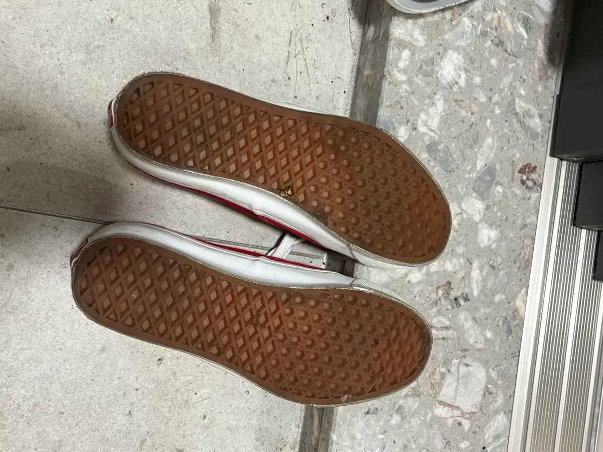 VANS VANS(バンズ) ボルト OG オーセンティック 260 Authentic Theory 