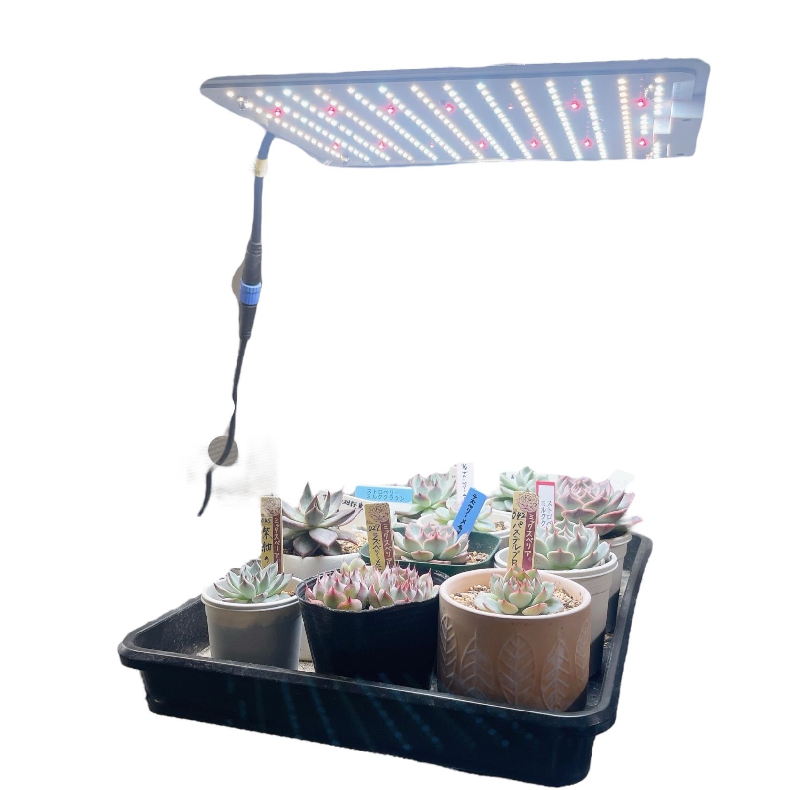 LED植物育成ライト2個セット