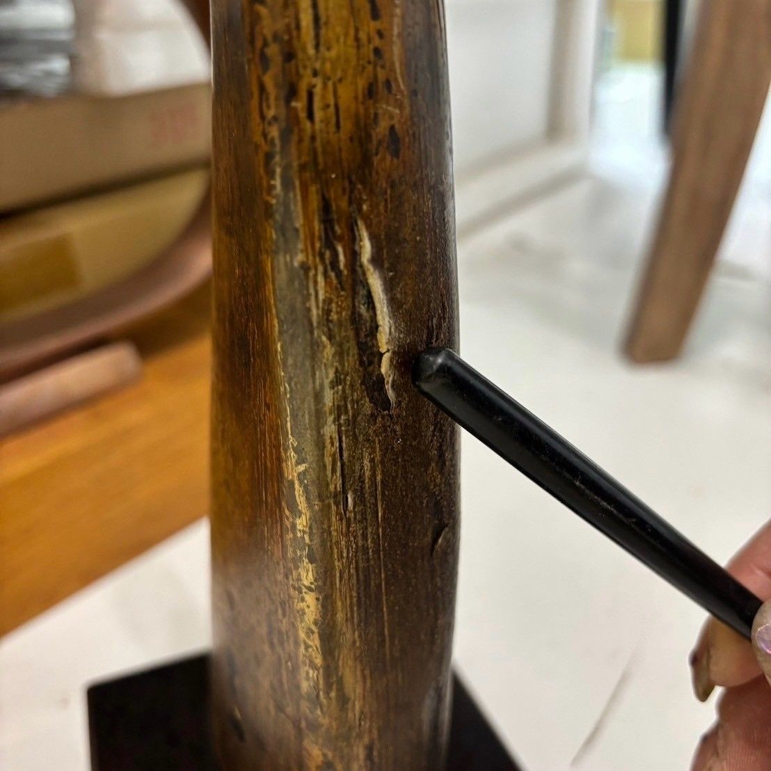 統一感のある 北欧 モダン オブジェ 置物 インテリア 雑貨 小物 ツノ 角 彫刻 アート エスニック