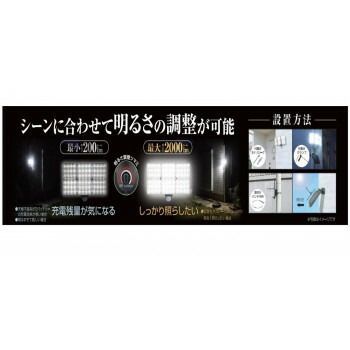 大進 ソーラーセンサーライト6灯式DLS-10T600