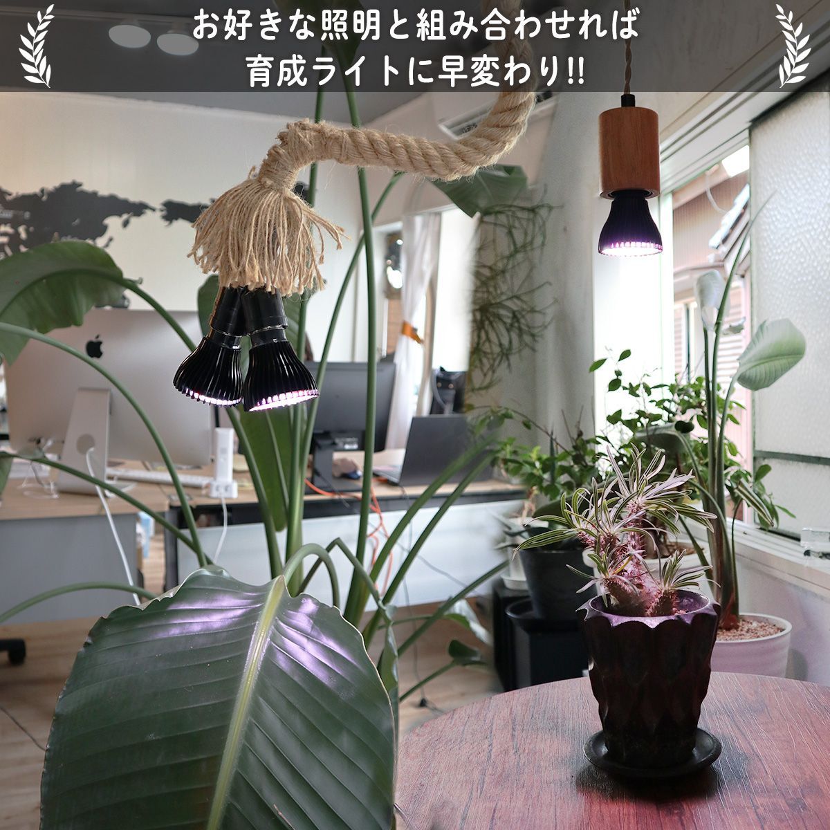 z-bl-plant01】植物育成ライト led e26 育成 電球 育成ライト