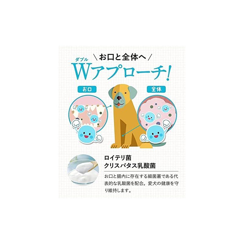 g 歯ブラシセット