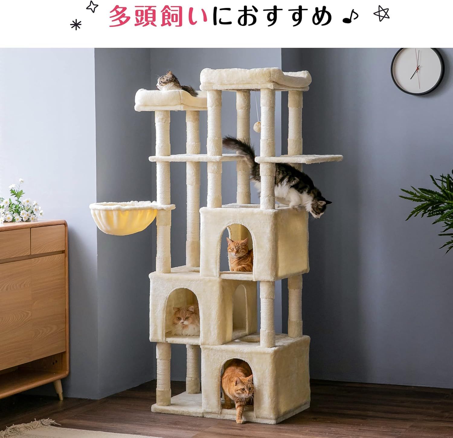 安定感