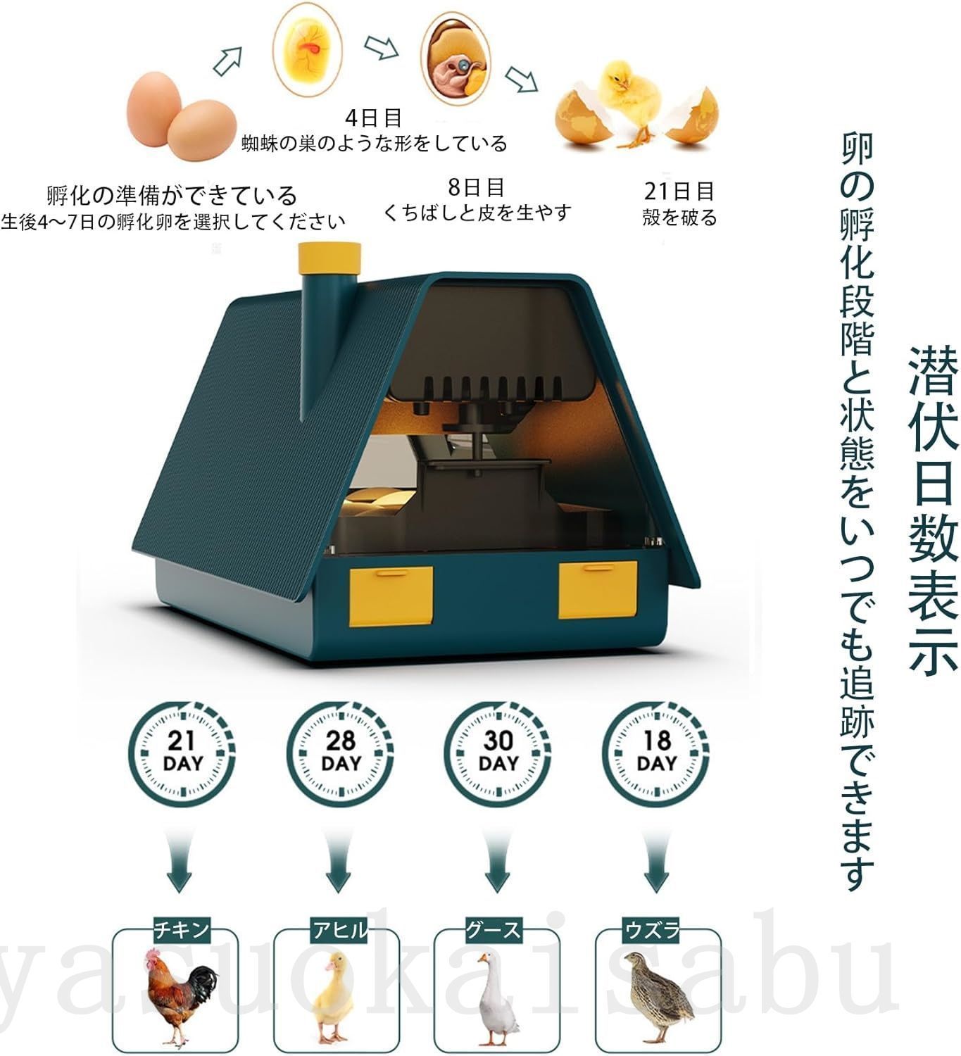 自動孵卵器