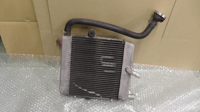 フォルツァZ MF10 の ラジエター:#1690333378