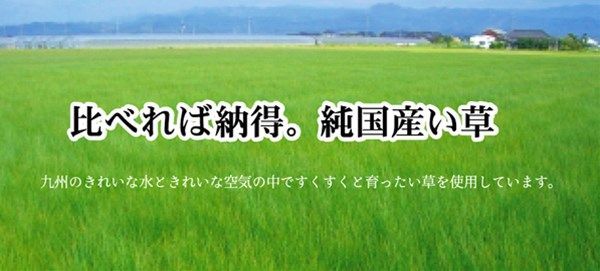 純国産 イ草花ござカーペット 『扇』 江戸間2畳(約174×174cm)【代引不可】