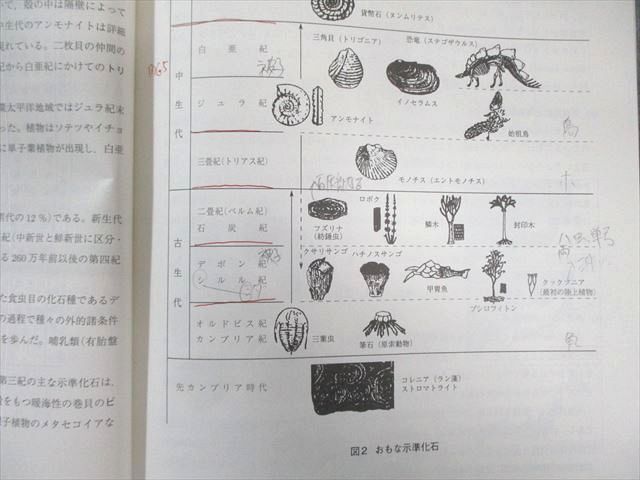 駿台 地学図表集 書き込みなし 2024 通年 008s0D 駿台 地学図表集 2024 通年 010s0Dの通販 by ブックスドリーム