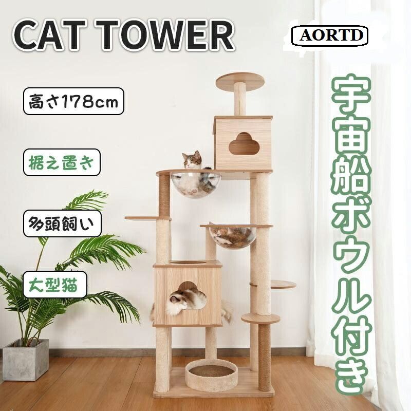 煎茶道具 大日本沢田製 染付 猫文 煎茶碗 5客 まとめて N 5847 古染付