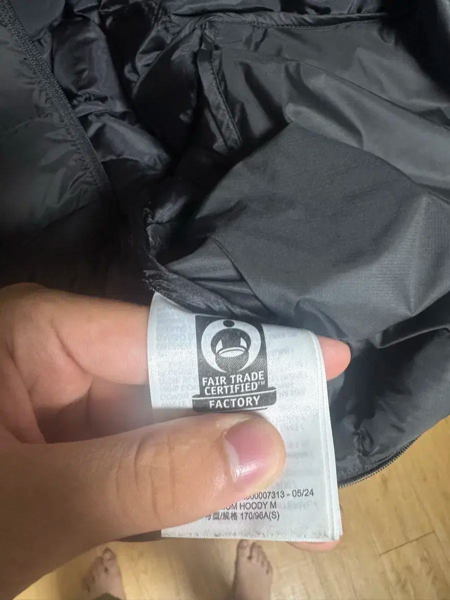 セリウム フーディー