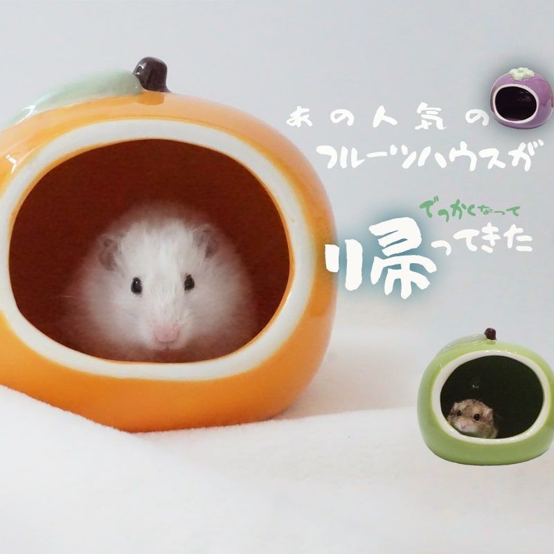 陶器 ハムスター 置物 フルーツ 陶器 ハウス ハムスター ゴールデンハムスター 陶器 ケージ