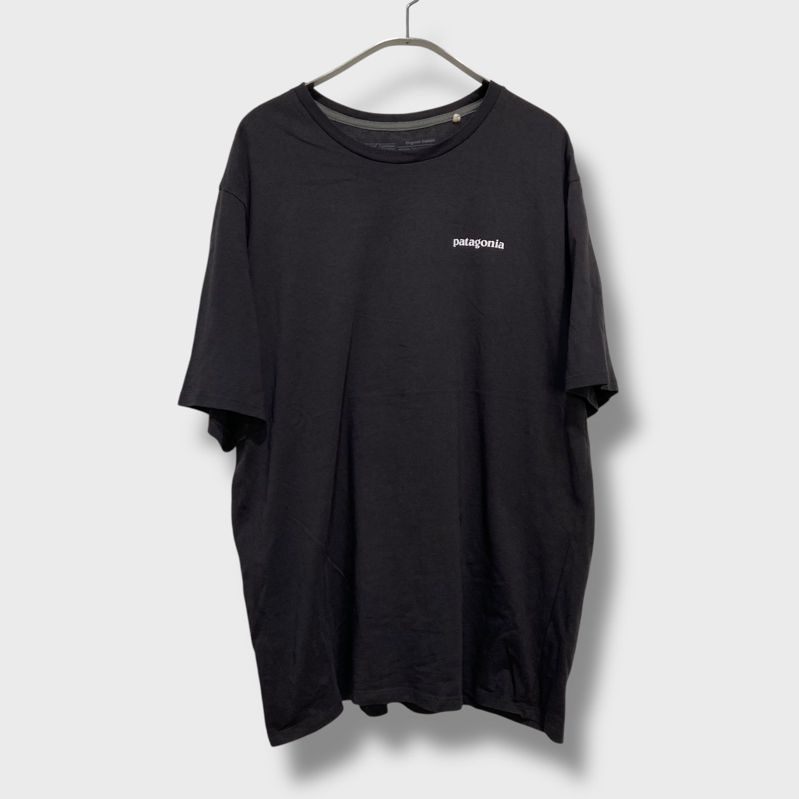 ☆patagonia☆パタゴニア☆P-6☆プリントTシャツ☆バックプリント 