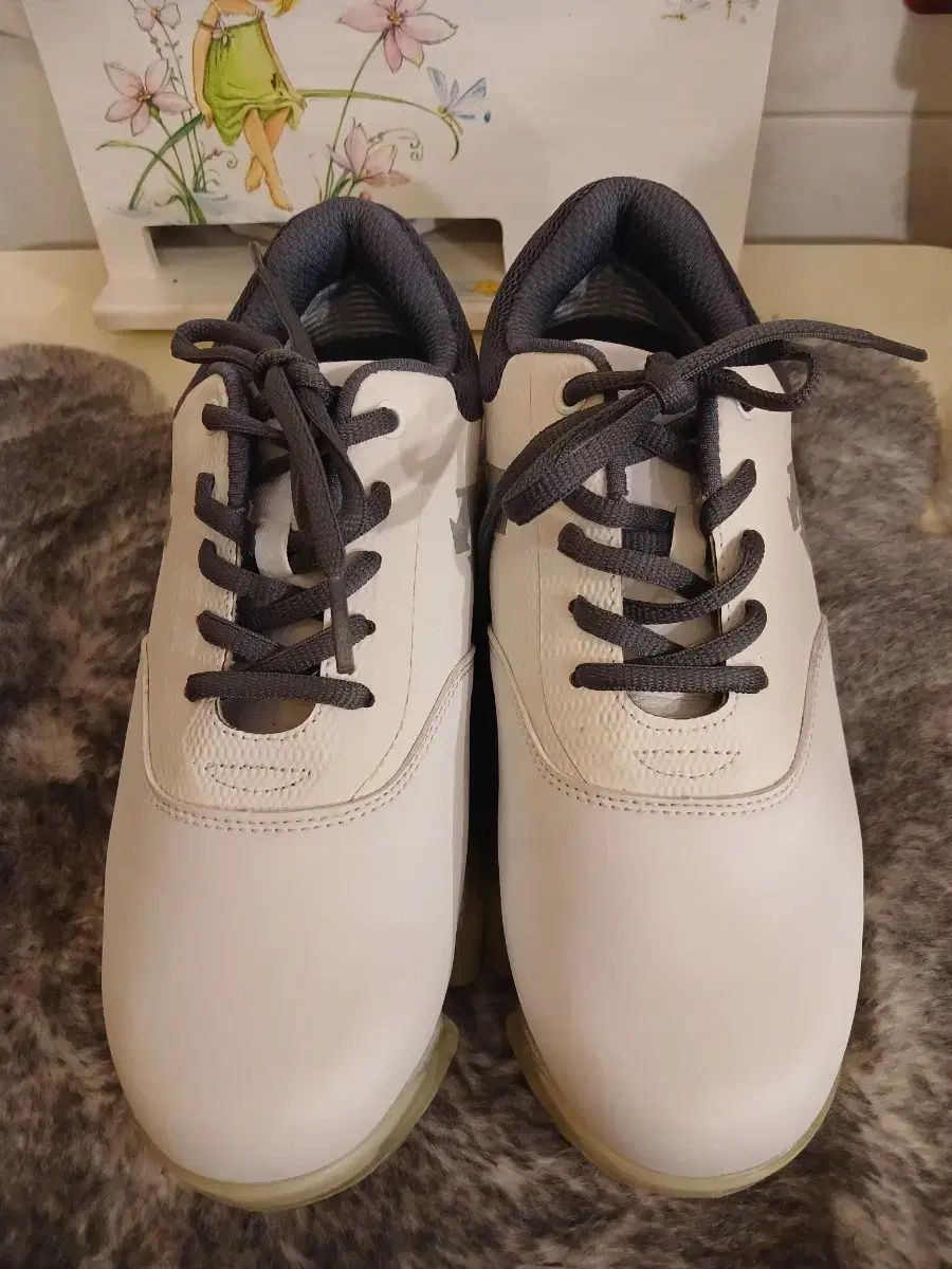 DESCENTE デサント 正規品 ゴルフシューズ 245 サイズ