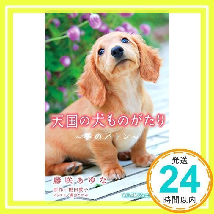 天国の犬ものがたり~夢のバトン~ (小学館ジュニア文庫 ほ 1-4) [新書 