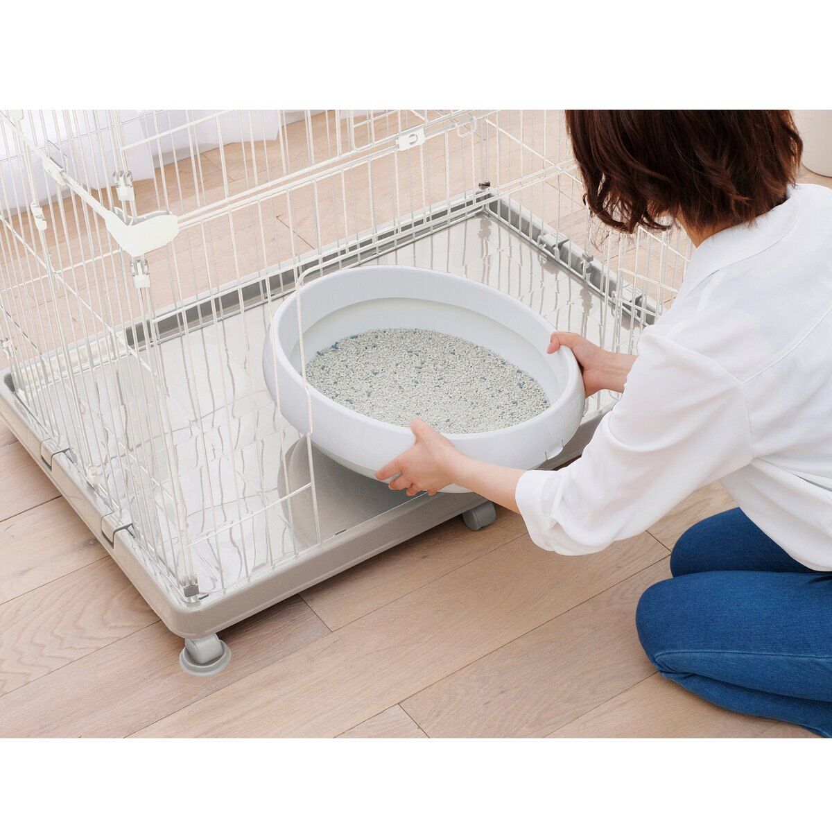 飼育