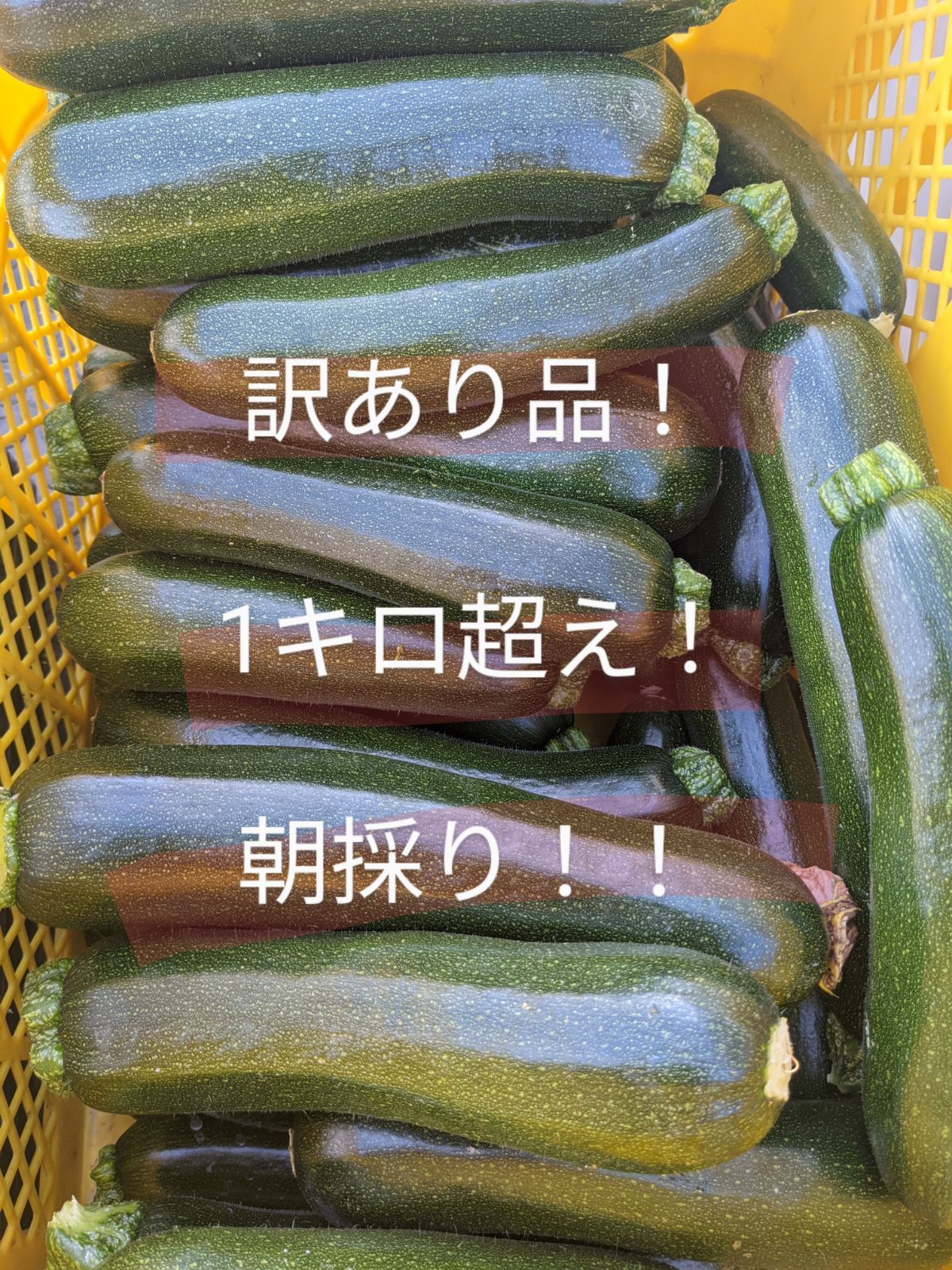 朝採れズッキーニ!1キロ盛り 野菜 | yucca.com.mx