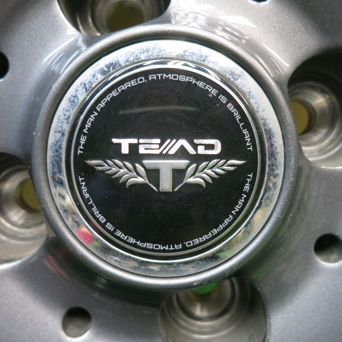 TEAD テッド
