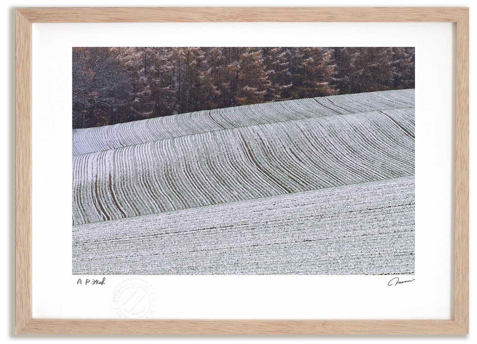 アートフォト 絵画 新雪の丘 高橋真澄|インテリア 額入り 額装込 風景画 油絵 ポスター アート アートパネル リビング 玄関 プレゼント モダン アートフレーム 飾る Mサイズ おしゃれ 壁掛け 絵