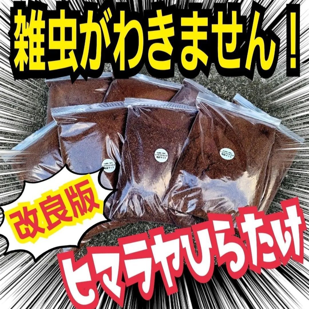 デカクなりすぎ注意！ヒマラヤひらたけ発酵マット 産卵にも！増量200 