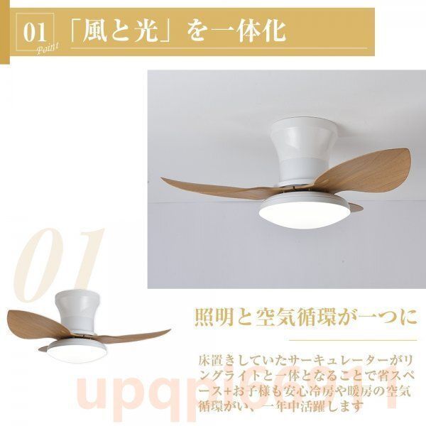 ファン付き照明