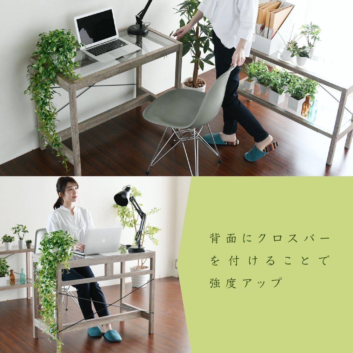 グリーン 観葉植物