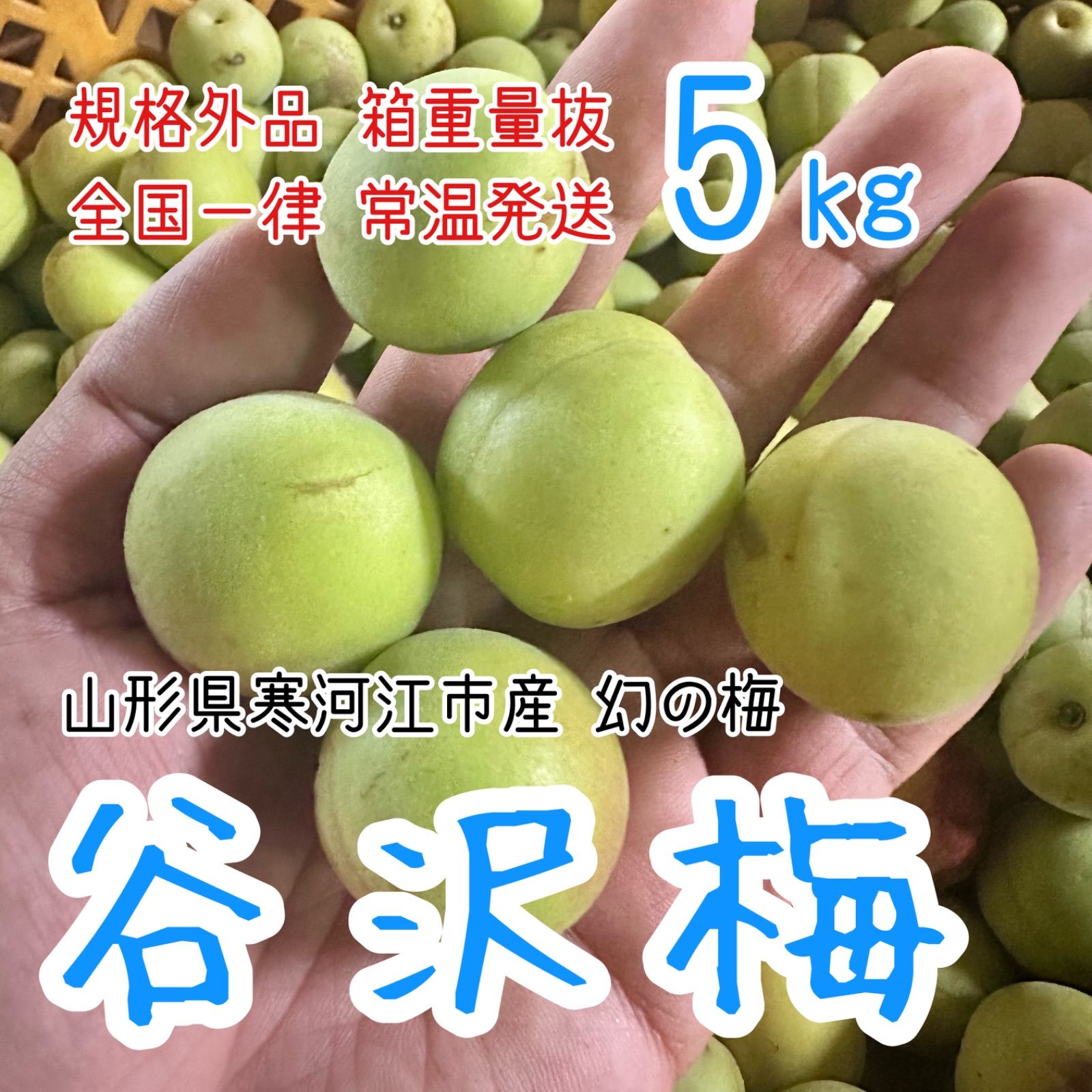 5kg・隣県限定 常温】山形県産 谷沢梅 完熟 中熟 梅ジャム