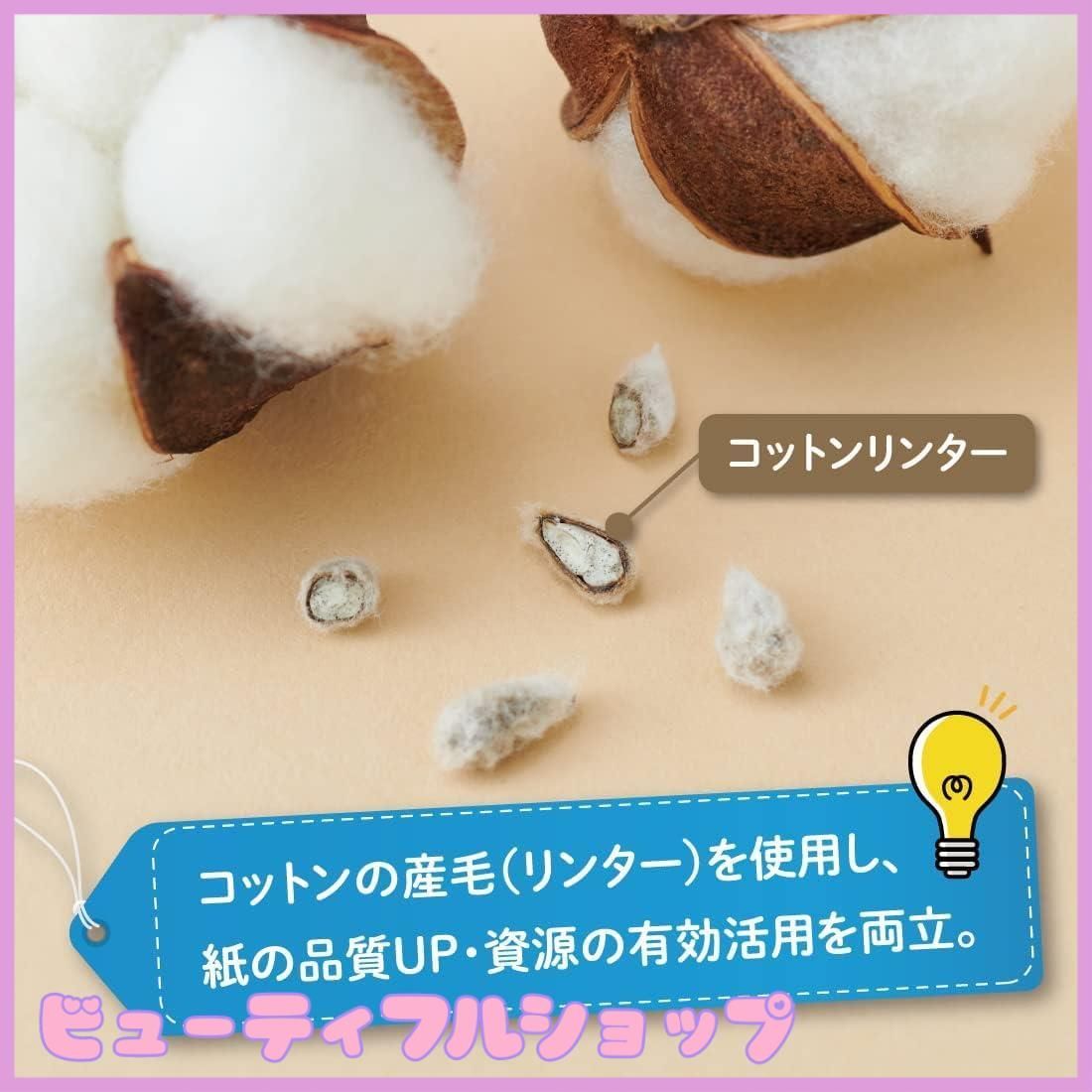 パルプ 5箱