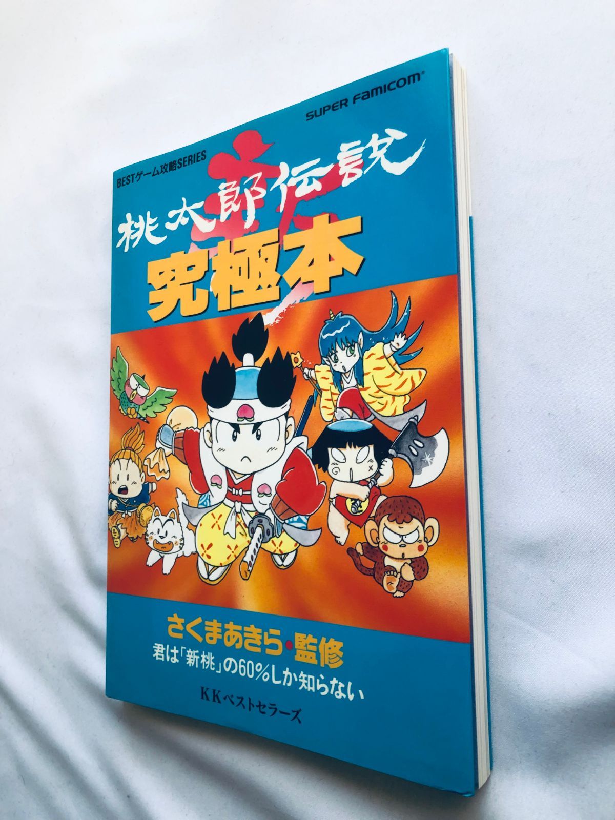 攻略本
