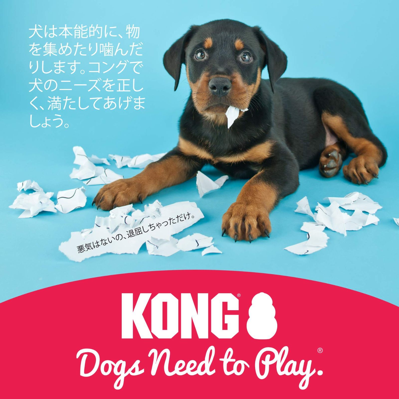 メルカリshops 特価商品 Kong コング 犬用おもちゃ コング M サイズ