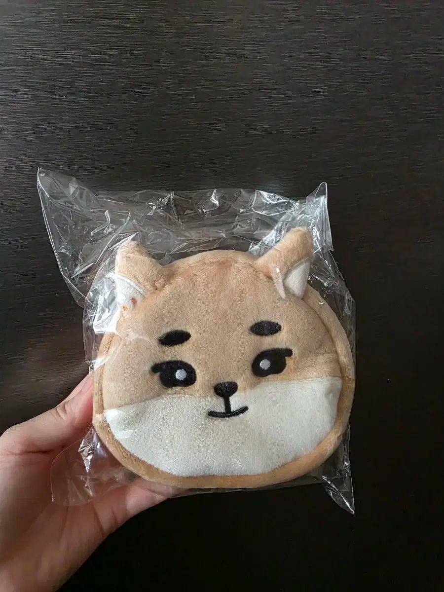 DAY6 デイシックス ヨンケイ Young K デニマルズ DENIMALZ ケー FACE ポーチ 日本 MD 未開封