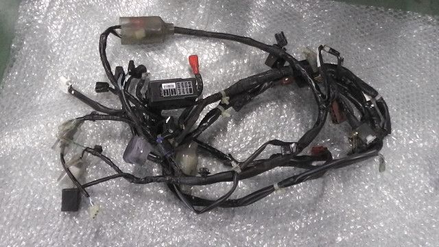 ジョグ(FI)　AY01-1006xxx　の　メインハーネス:#1629941789