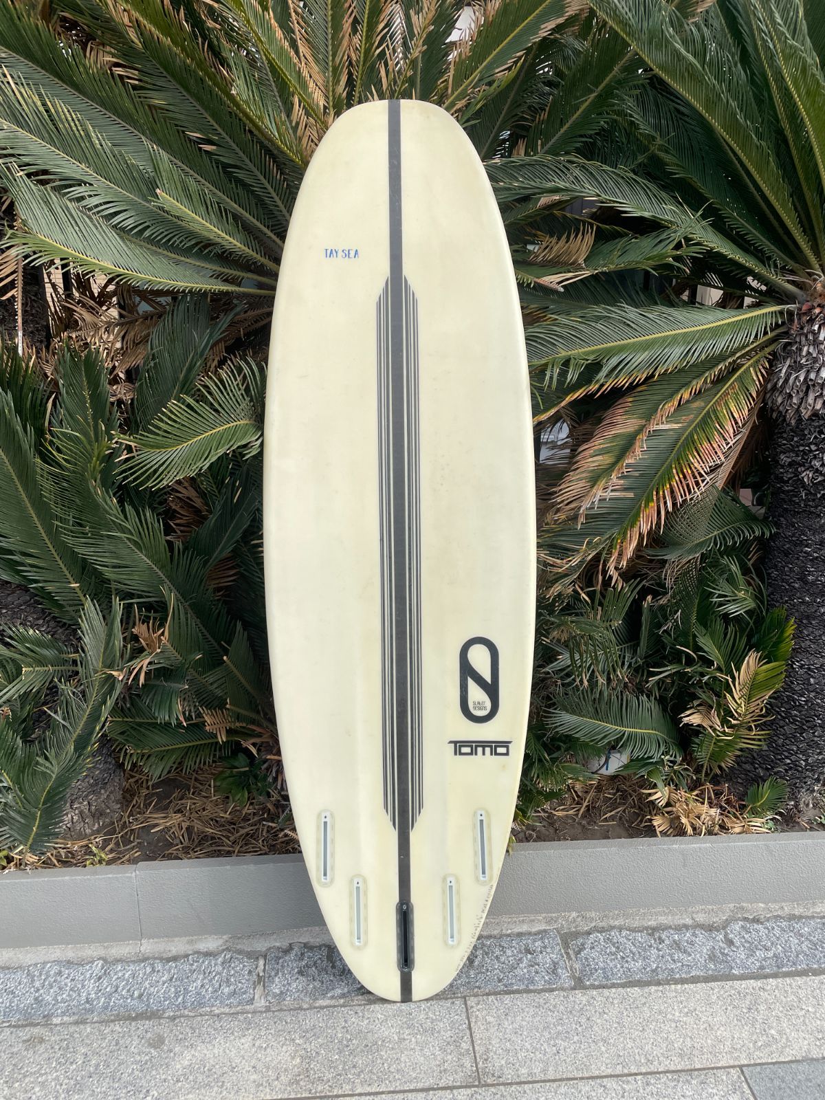 TOMOSURFBOARD 5