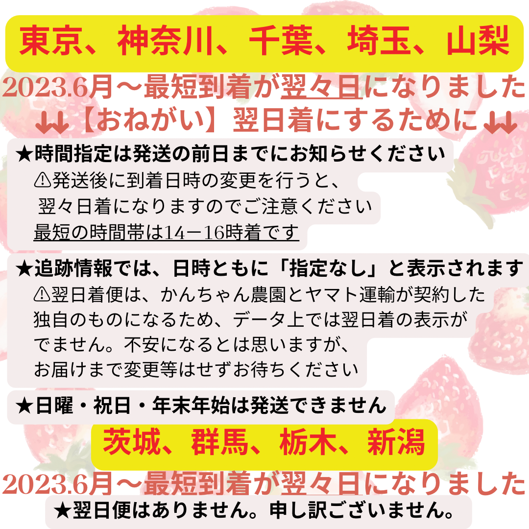 【ゆめのか】大粒！新鮮朝採りいちご