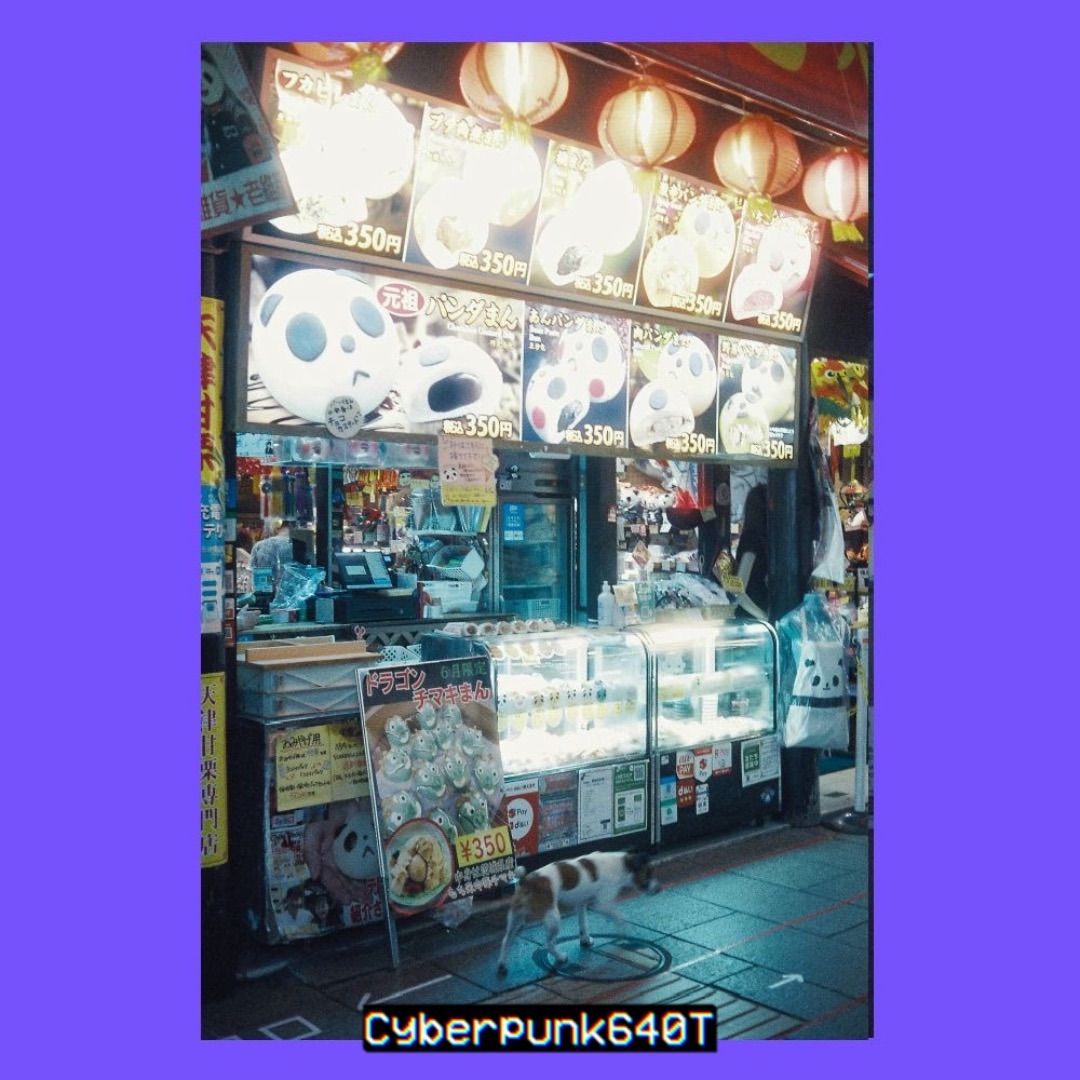 Cyberpunk 640T / カラーネガフィルム 36枚撮り - メルカリ