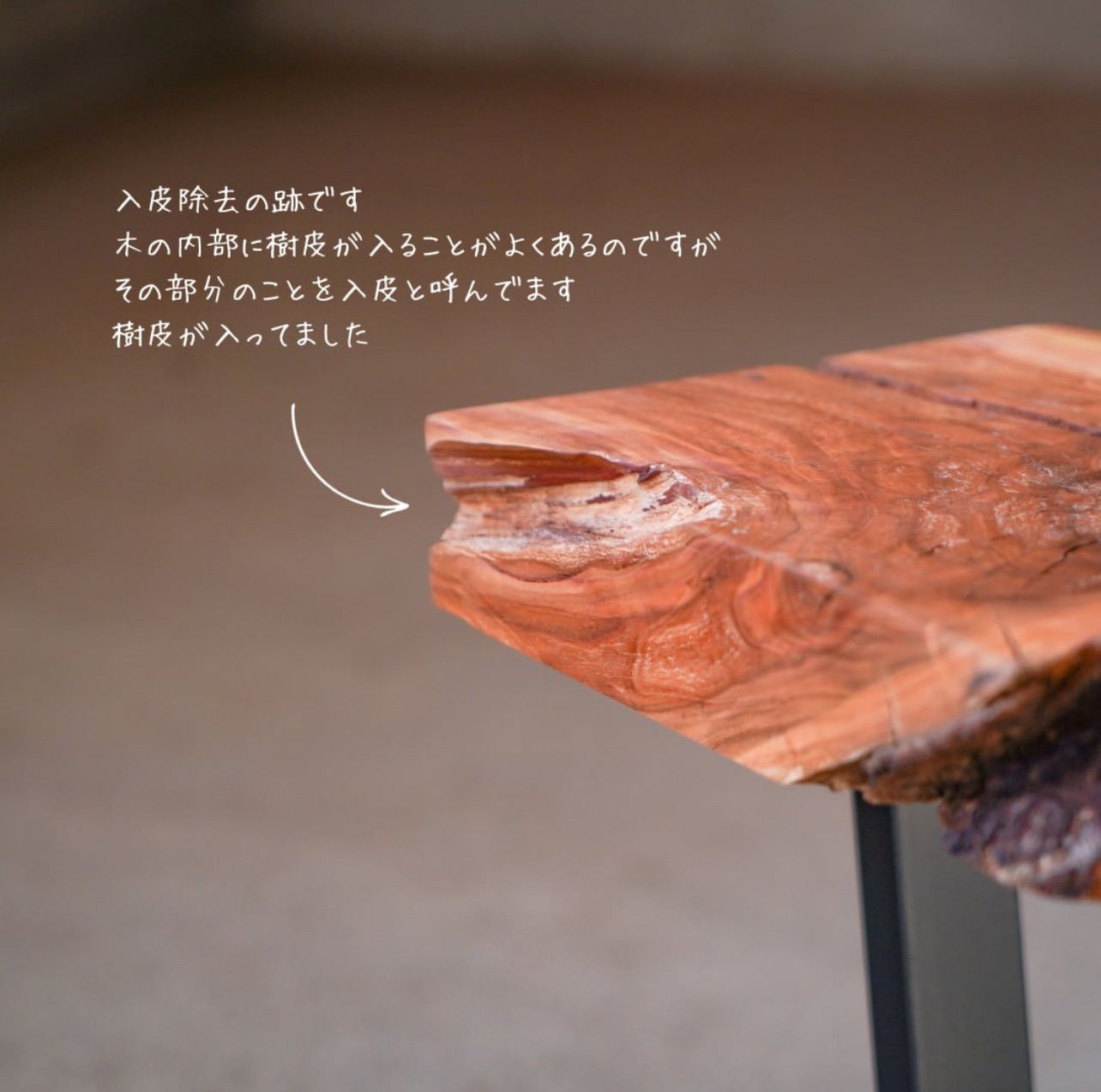 なスモモの一枚板 ローテーブル