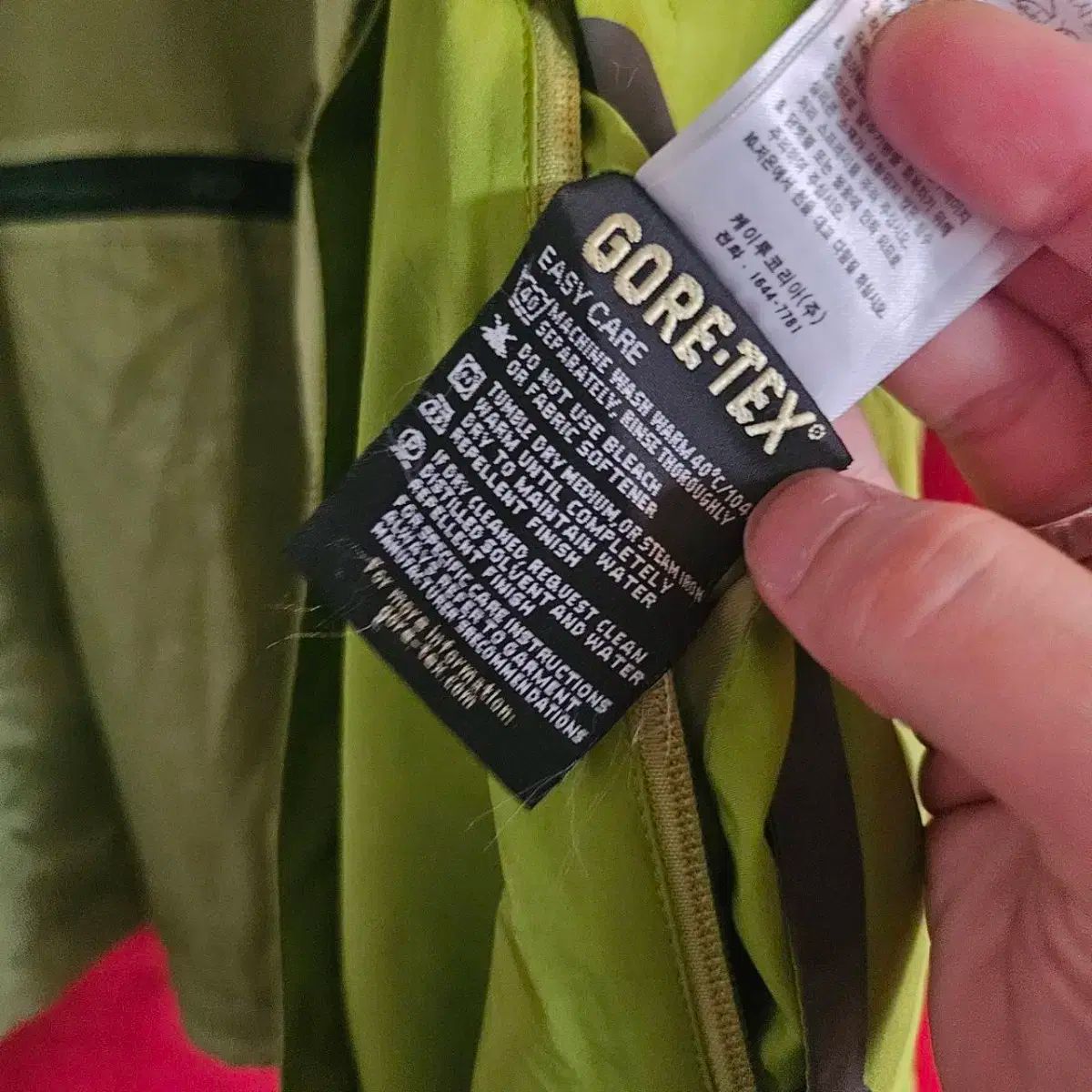 オリーブ フード